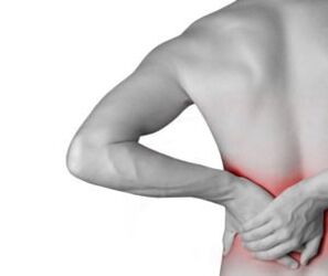 lumbar